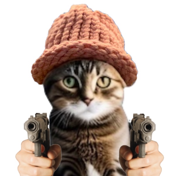 CATWIFHAT